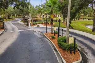 2405 Courtney Meadows Ct, Tampa, FL 33619 - Photo 36