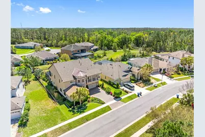 19412 Lonesome Pine Drive, Land O Lakes, FL 34638 - Photo 90