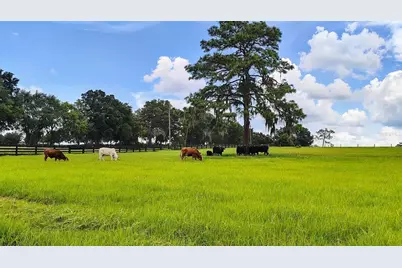 8385 S Pleasant Grove Road, Inverness, FL 34452 - Photo 2