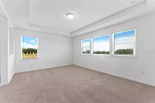 6926 Gilly Shadow St, Wesley Chapel, FL 33545 - Photo 14