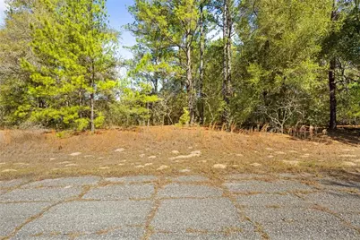 1783 E Ivydale Drive, Dunnellon, FL 34434 - Photo 14