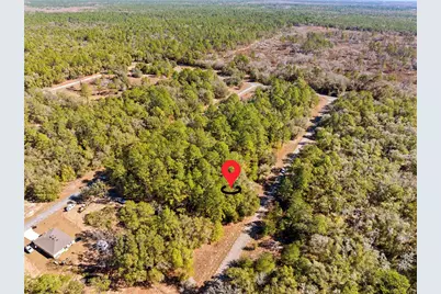 1783 E Ivydale Drive, Dunnellon, FL 34434 - Photo 4