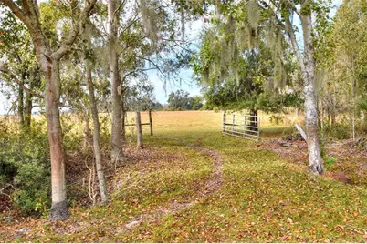 0 Colding Loop, Wimauma, FL 33598 - Photo 4