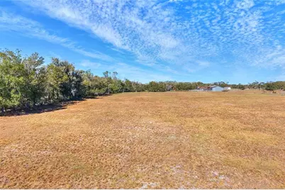 Colding Loop, Wimauma, FL 33598 - Photo 10