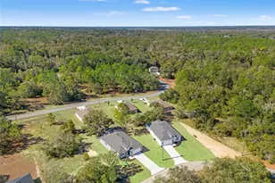 11838 N Providence Way, Citrus Springs, FL 34433 - Photo 6