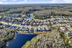 30609 Tremont Dr, Wesley Chapel, FL 33543 - Photo 30