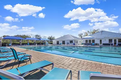 30609 Tremont Drive, Wesley Chapel, FL 33543 - Photo 36