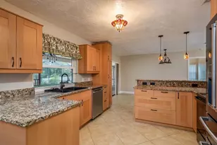 2827 Enisgrove Dr, Palm Harbor, FL 34683 - Photo 14