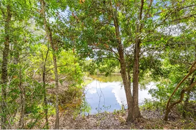 1843 Juanita Court, Clearwater, FL 33764 - Photo 58