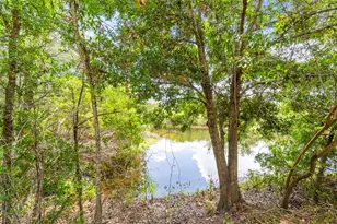 1843 Juanita Ct, Clearwater, FL 33764 - Photo 58