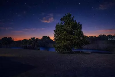 8806 Sandy Plains Drive, Riverview, FL 33578 - Photo 38