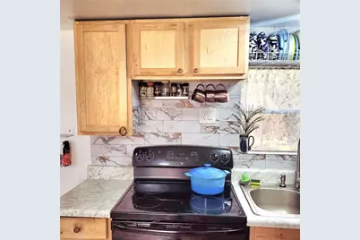 24905 NE 130th Street, Fort Mc Coy, FL 32134 - Photo 12