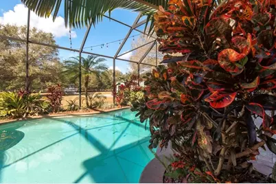 6535 Lake Irene Drive, Land O Lakes, FL 34638 - Photo 24