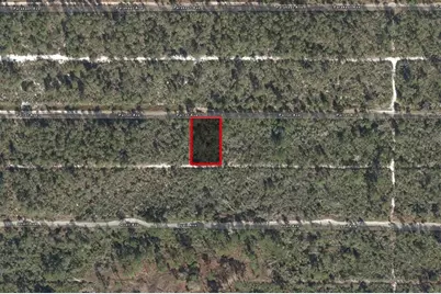 533 Parrot Avenue, Sebring, FL 33872 - Photo 1