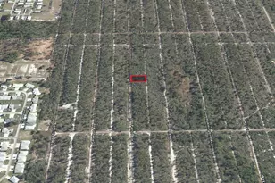 533 Parrot Ave, Sebring, FL 33872 - Photo 4