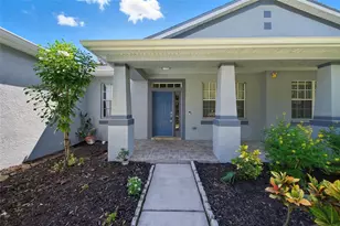 11724 Holly Creek Dr, Riverview, FL 33569 - Photo 4