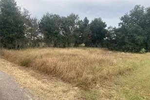 3231 Mountain Lake Cutoff Rd, Lake Wales, FL 33859 - Photo 1