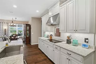 33564 Willow Point Ct, Wesley Chapel, FL 33545 - Photo 18