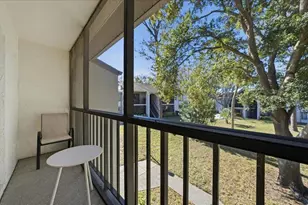 2666 Pine Ridge Way N, Palm Harbor, FL 34684 - Photo 46