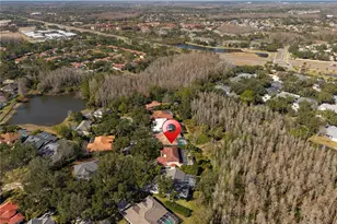 10239 Garden Alcove Dr, Tampa, FL 33647 - Photo 64