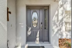 5956 Desert Peace Ave, Land O Lakes, FL 34639 - Photo 6