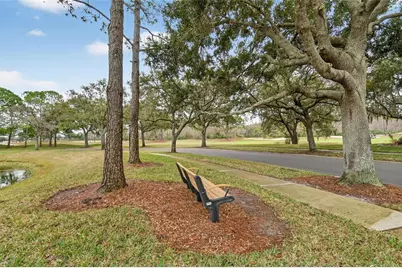 5529 Terrain De Golf Drive, Lutz, FL 33558 - Photo 66