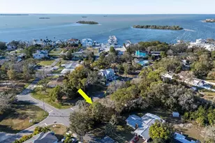 236 North St, Palm Harbor, FL 34683 - Photo 48