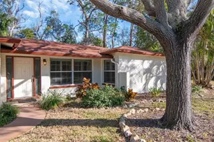 236 North St, Palm Harbor, FL 34683 - Photo 54