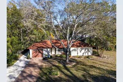 236 North Street, Palm Harbor, FL 34683 - Photo 40