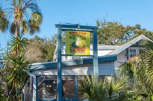 236 North St, Palm Harbor, FL 34683 - Photo 62