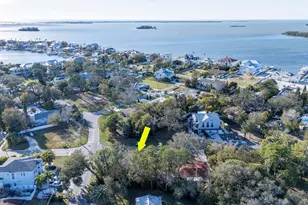 236 North St, Palm Harbor, FL 34683 - Photo 46