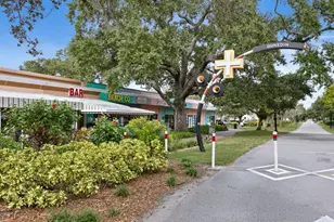 902 Beltrees St, Dunedin, FL 34698 - Photo 40