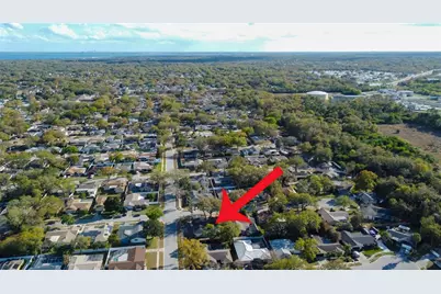 101 Nestlebranch Drive, Safety Harbor, FL 34695 - Photo 78