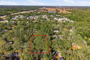 34925 Emily Dr, Dade City, FL 33523 - Photo 6