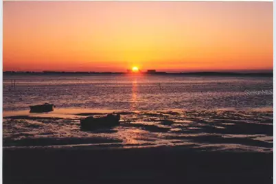 2700 Bayshore Boulevard #9402, Dunedin, FL 34698 - Photo 20