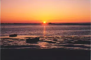 2700 Bayshore Blvd, Dunedin, FL 34698 - Photo 20