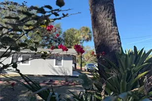 1008 W Grace St, Tampa, FL 33607 - Photo 10