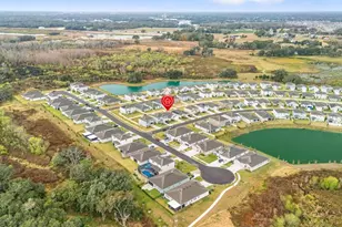 3505 Thistle Bank Ct, Plant City, FL 33565 - Photo 48