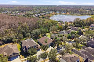 7907 Hampton Lake Dr, Tampa, FL 33647 - Photo 70