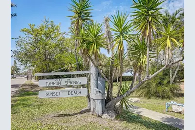 1703 Blue Lake Court, Tarpon Springs, FL 34689 - Photo 58