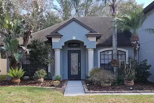 10740 Rain Lilly Pass, Land O Lakes, FL 34638 - Photo 2