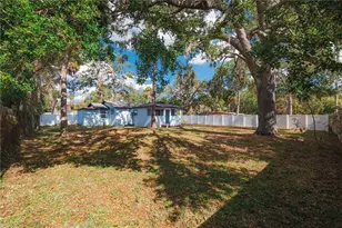 8508 Sunbeam Ln, Tampa, FL 33615 - Photo 28