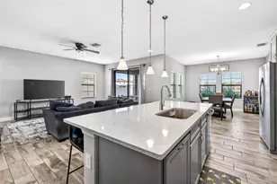 13134 Monach Isles Dr, Riverview, FL 33579 - Photo 12