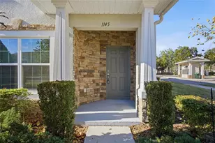 1145 Sleepy Oak Dr, Wesley Chapel, FL 33543 - Photo 2