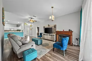 6811 Monarch Park Dr, Apollo Beach, FL 33572 - Photo 8