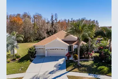 31230 Alchester Drive, Wesley Chapel, FL 33543 - Photo 1