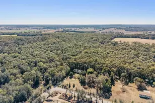 28200 Old Trilby Rd, Brooksville, FL 34602 - Photo 36