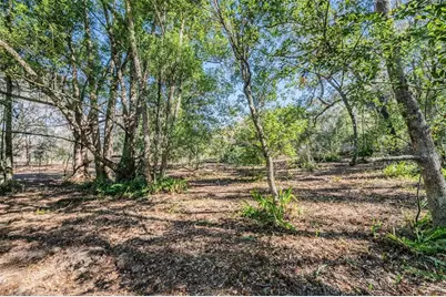 28200 Old Trilby Road, Brooksville, FL 34602 - Photo 32