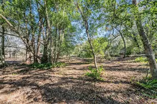 28200 Old Trilby Rd, Brooksville, FL 34602 - Photo 32