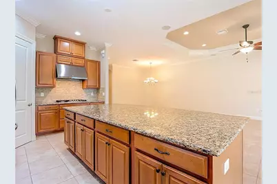 8613 Grand Alberato Road, Tampa, FL 33647 - Photo 22